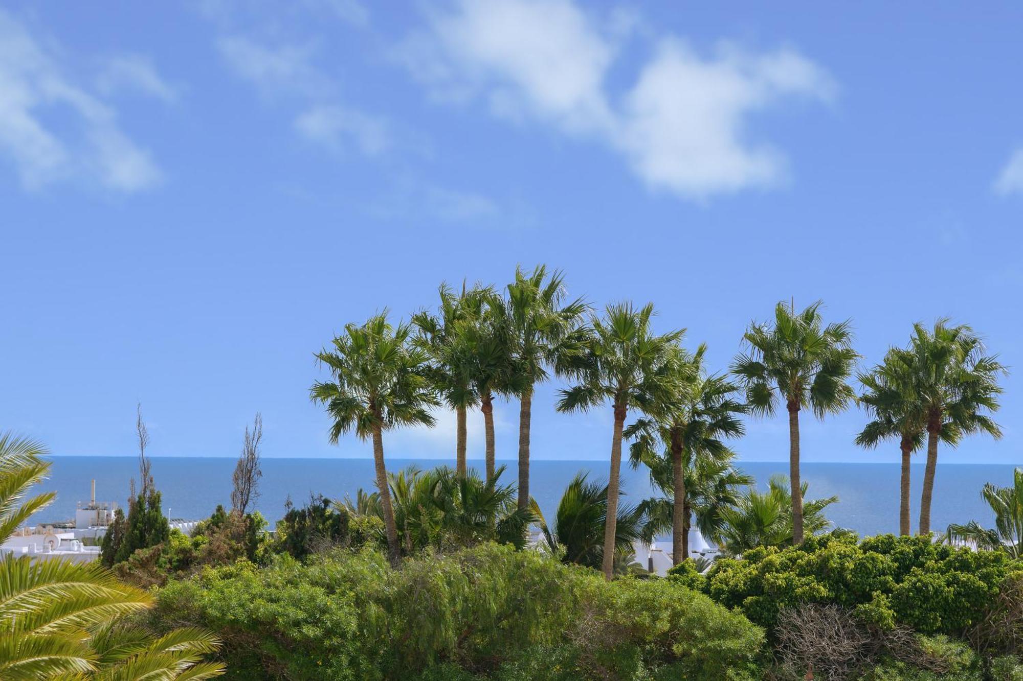 Oasis De Lujo - Luxury Boutique Villa 科斯塔特吉塞 外观 照片